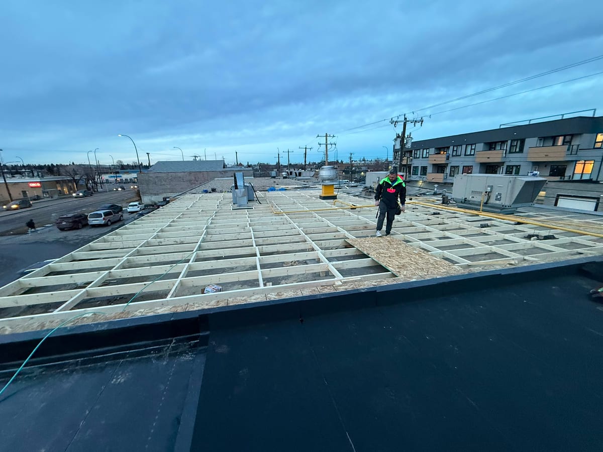 Commercial roof deck being re-sheathed after water damage in Calgary