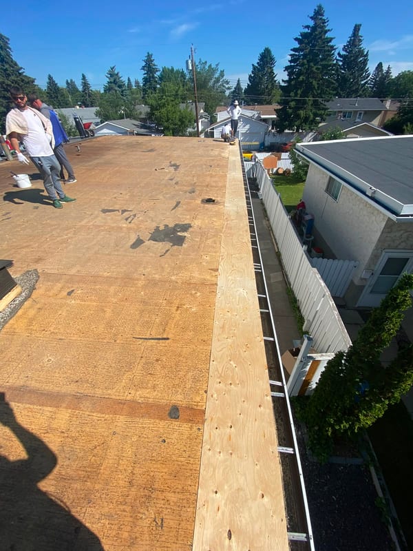 New plywood sheathing installed on a flat roof deck