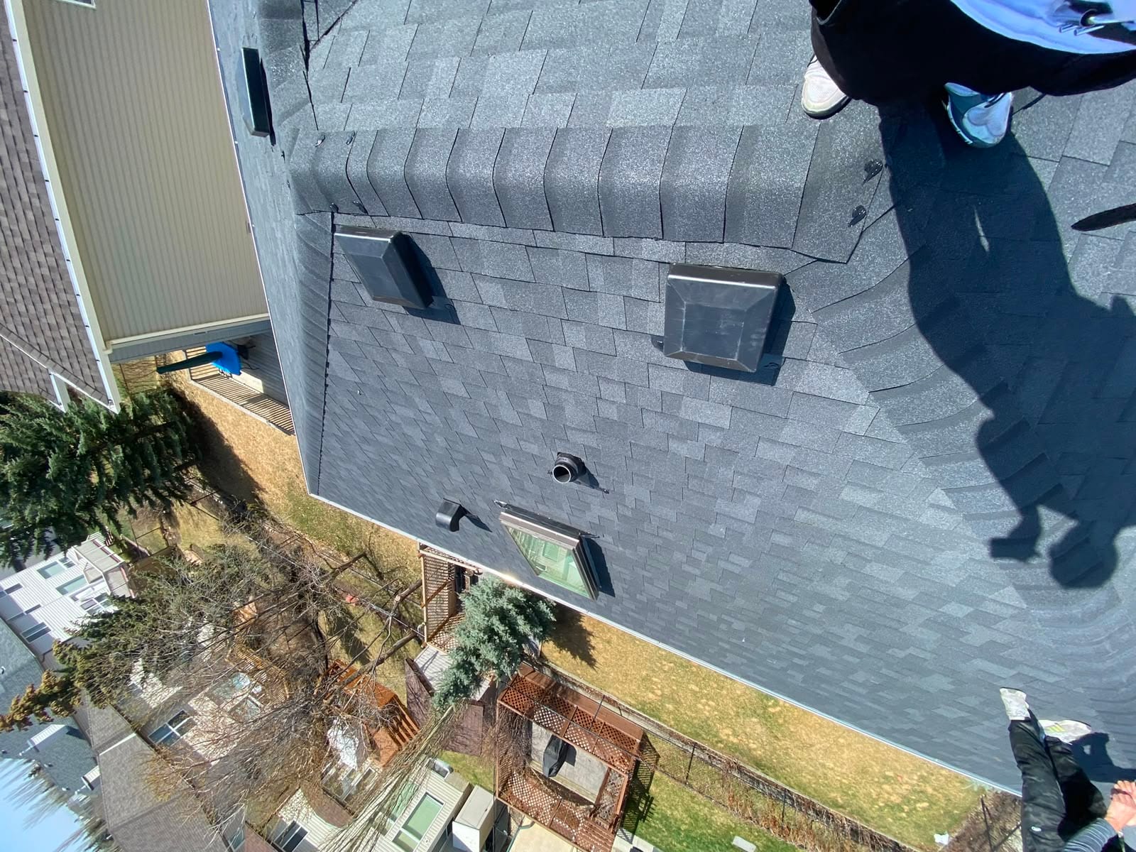 A Calgary shingle roof with its skylight, box vents and plumbing stack, every one of them a penetration a storm can find